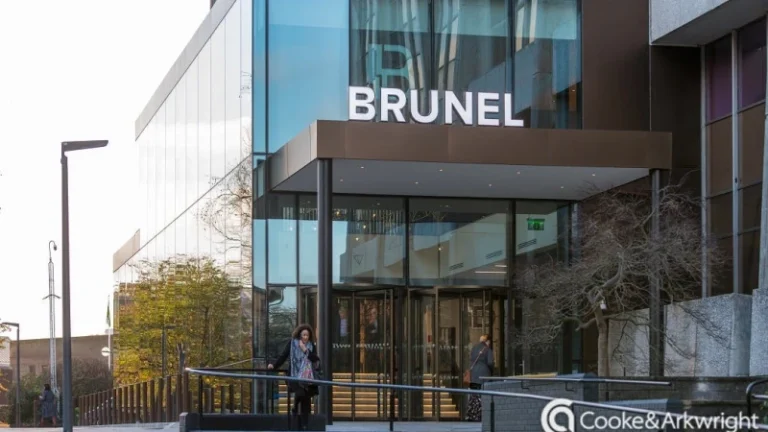 brun 768x432